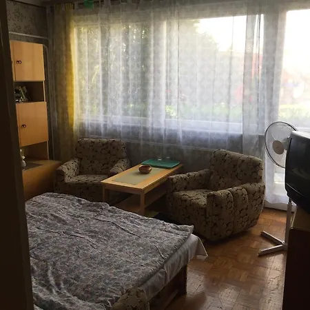 住宿加早餐酒店 Zsuzsa Panzio